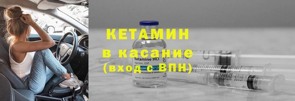 сатива Покачи